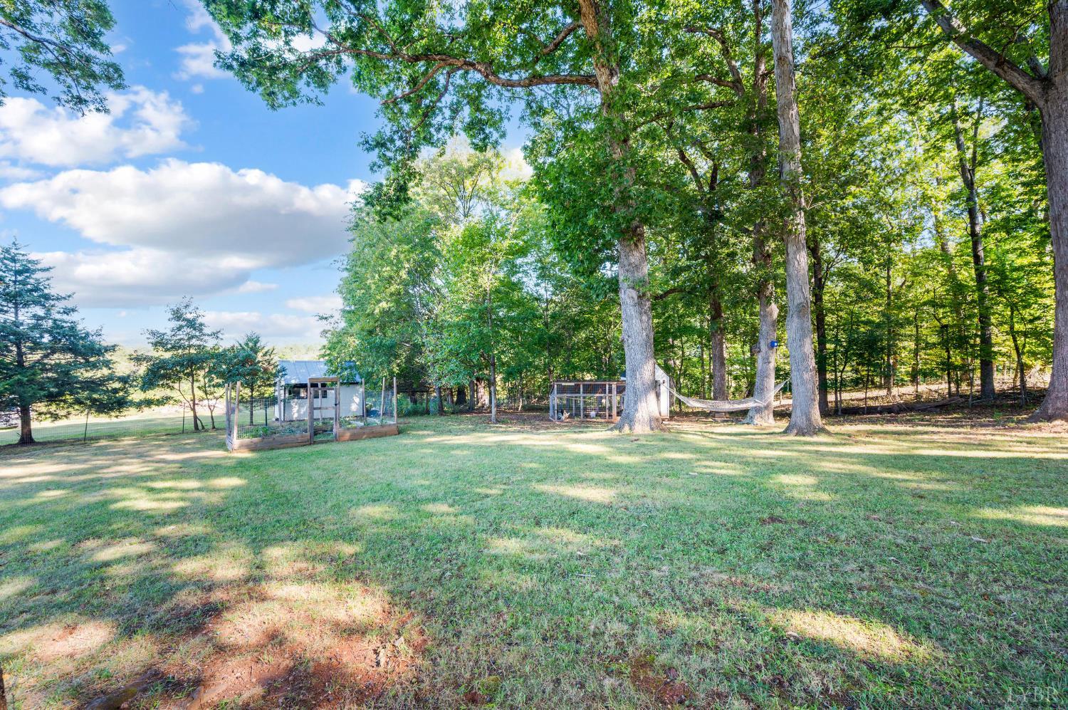 1203 Everett Road Forest, VA 24551 - Photo 63 of 68 a view of a park with trees in the background