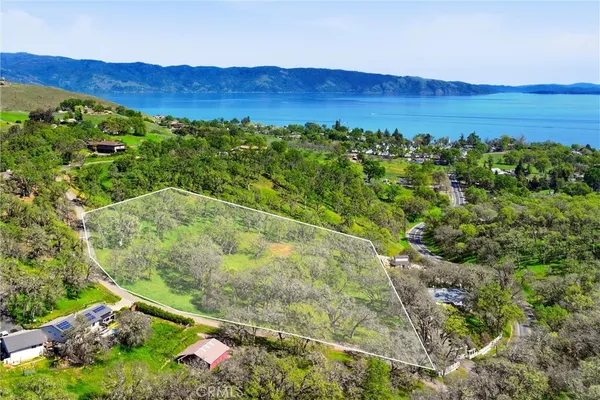 a view of a lush green field with lots of bushes