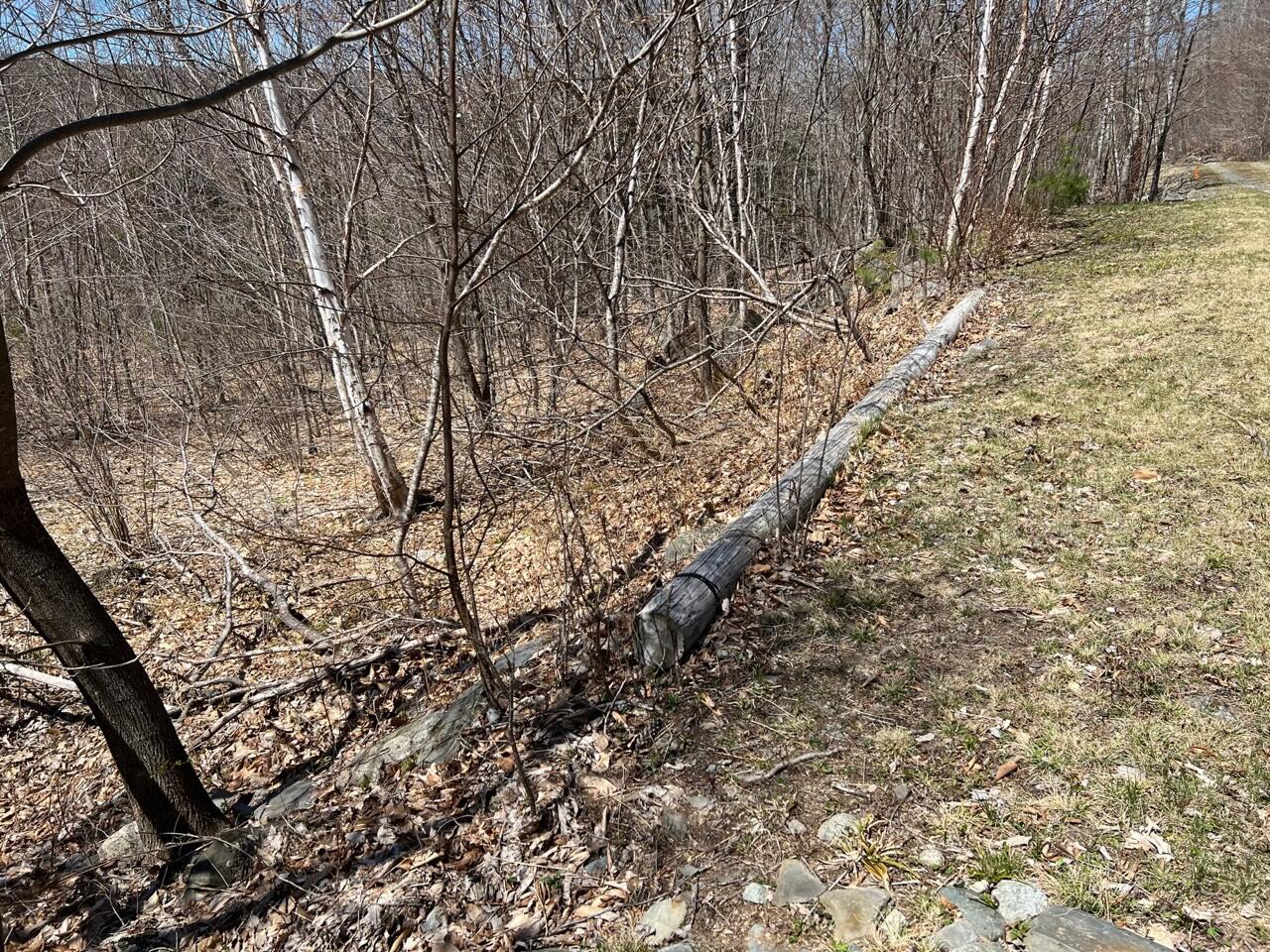 Lot #8 Rabbit Run Road Moscow, ME 04920 - Photo 2 of 9 IMG_4404