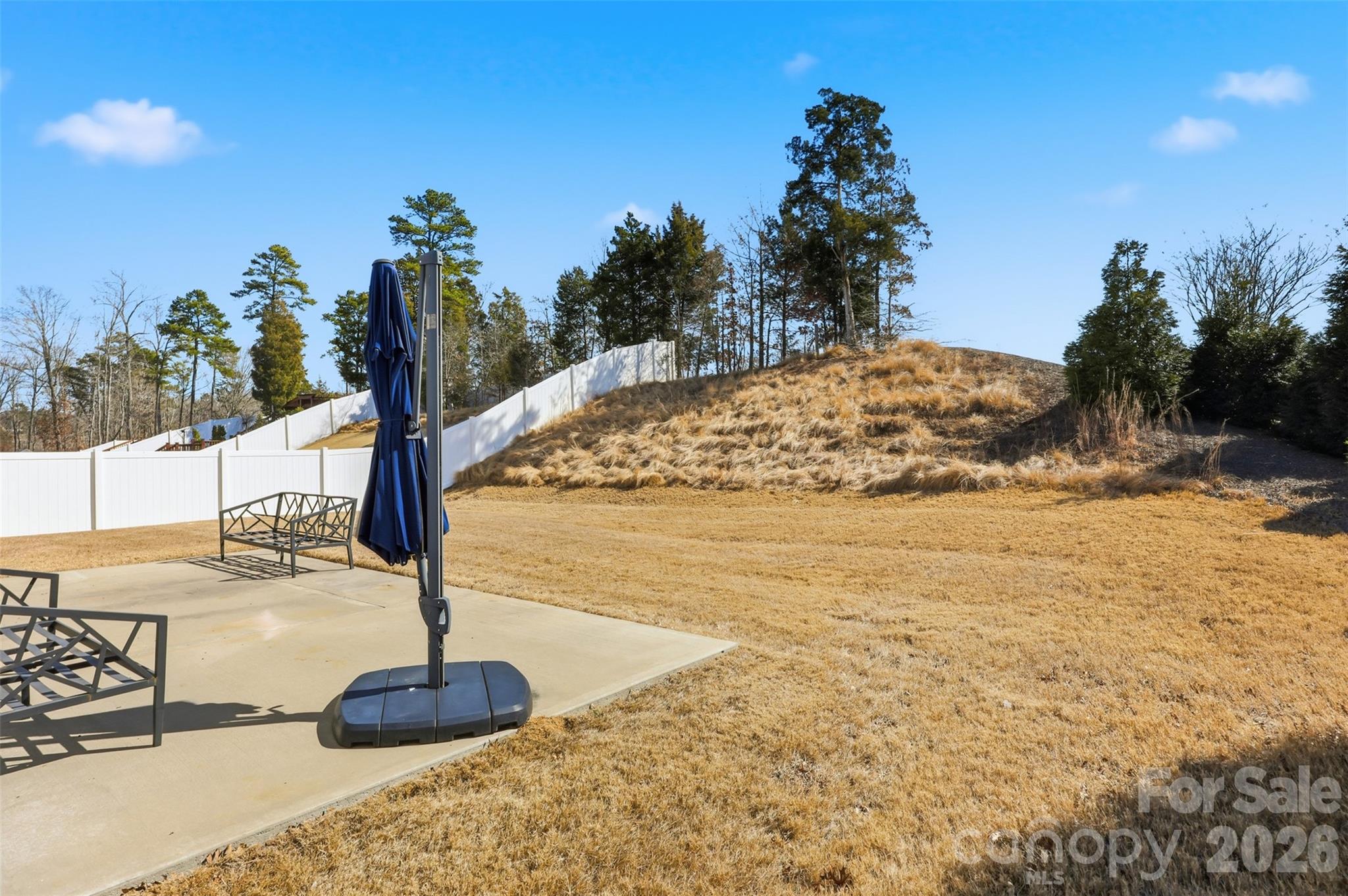 2314 Red Birch Way Concord, NC 28027 - Photo 4 of 44