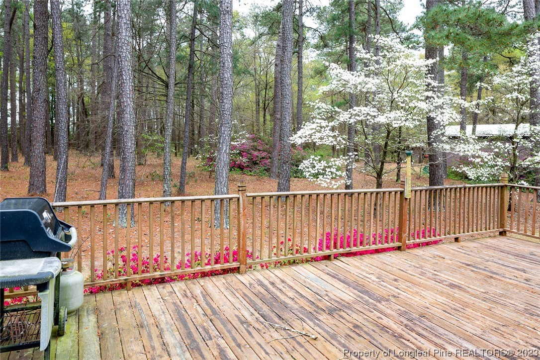 611 Huntley School Road Roseboro, NC 28382 - Photo 29 of 42 Gallery Image 29