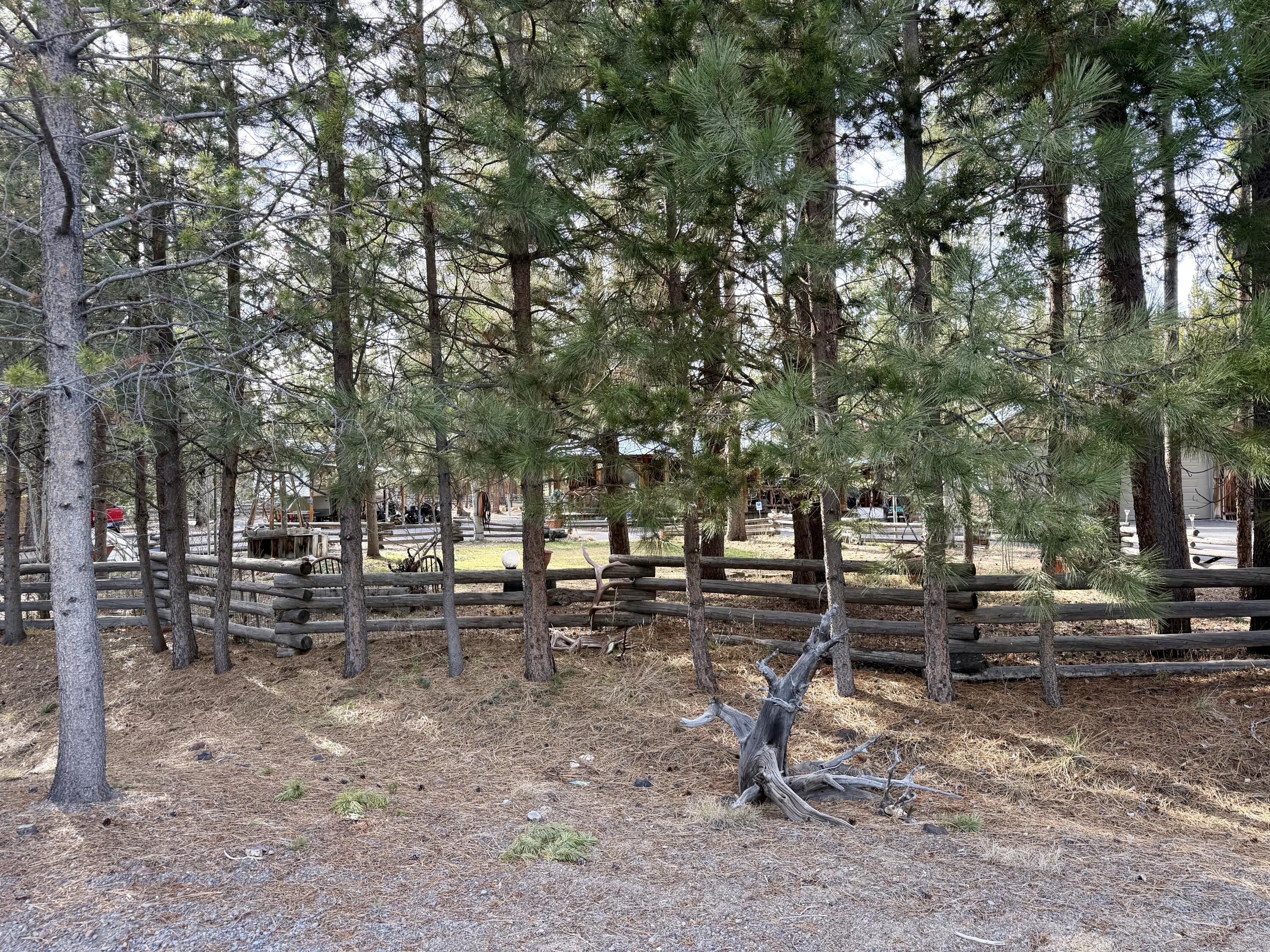 146514 Bills Road Gilchrist, OR 97737 - Photo 27 of 32 IMG_0919