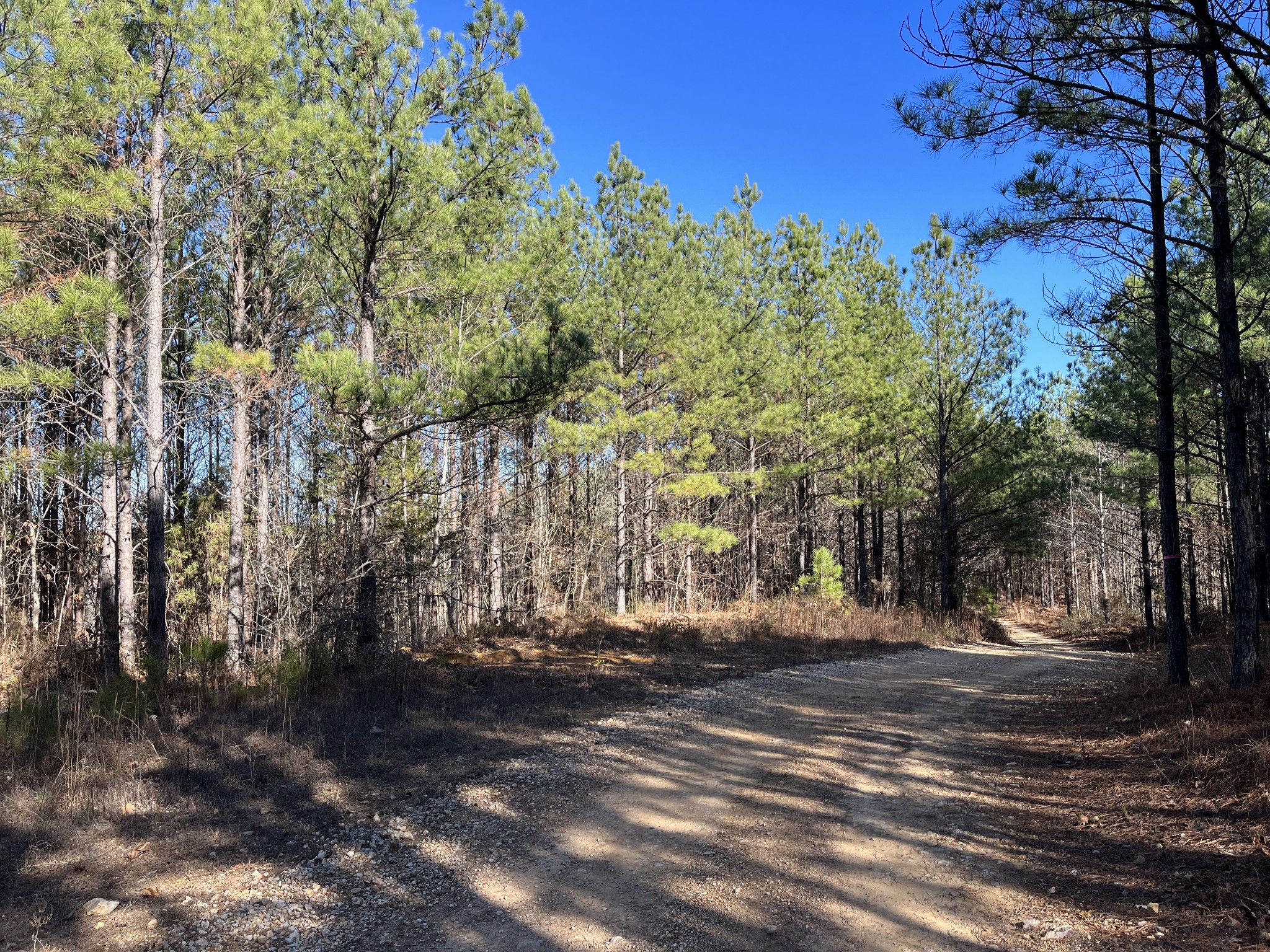 0 Cotton Branch Road Linden, TN 37096 - Photo 1 of 5 Gallery Image 1