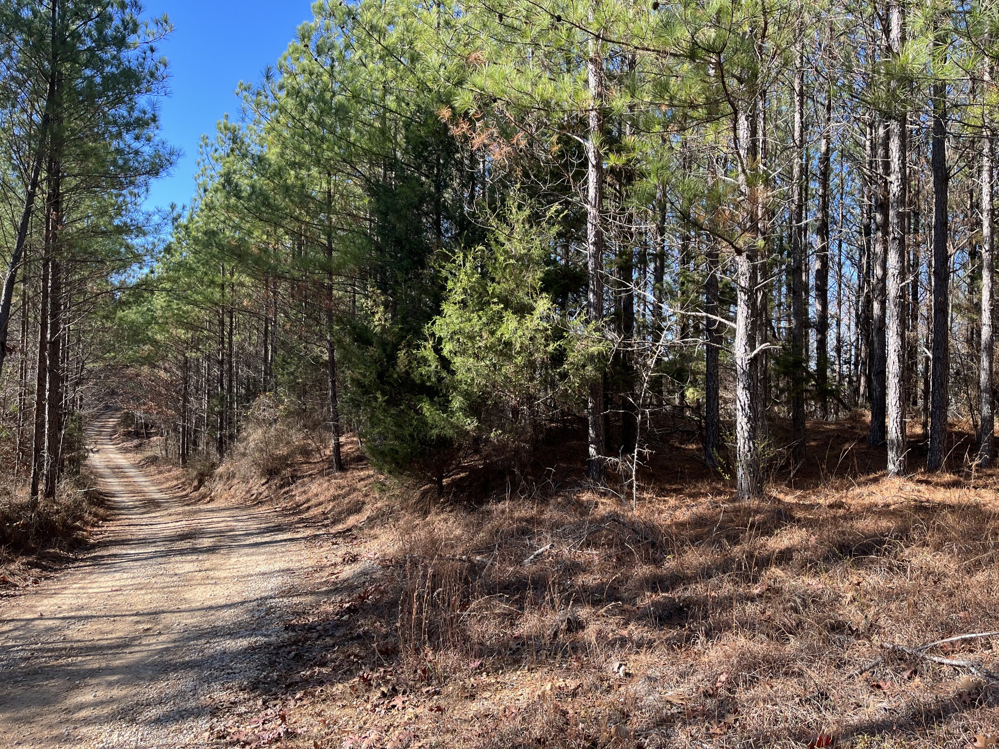 0 Cotton Branch Road Linden, TN 37096 - Photo 4 of 5 Gallery Image 4