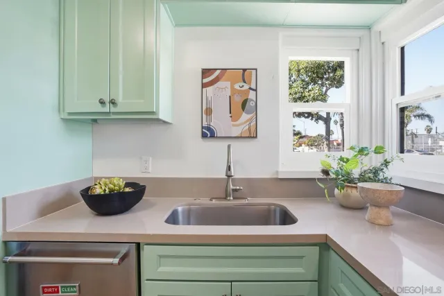a kitchen with a potted plant on the counter and a sink