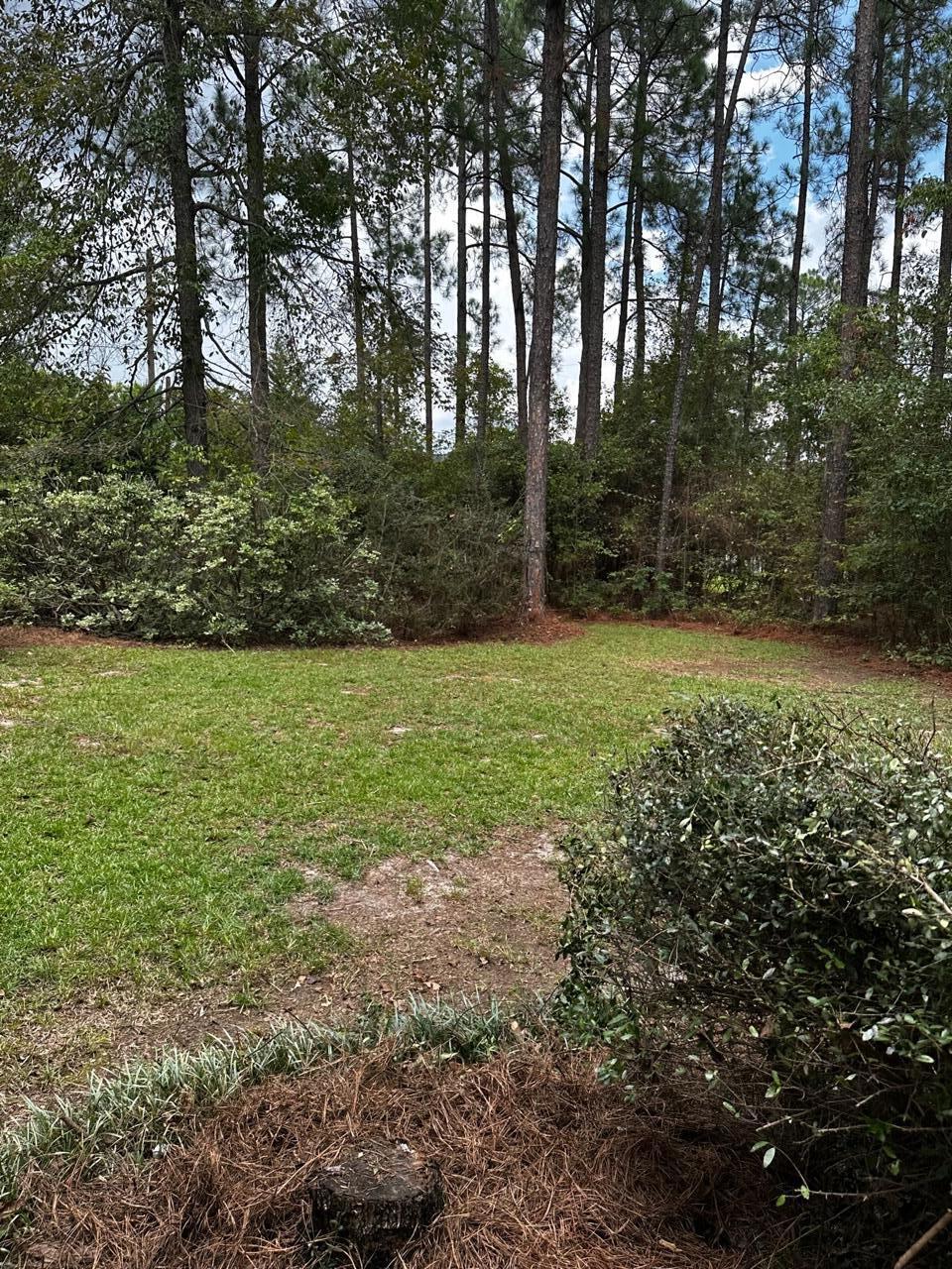 204 McLee Road Lexington, SC 29073 - Photo 23 of 30