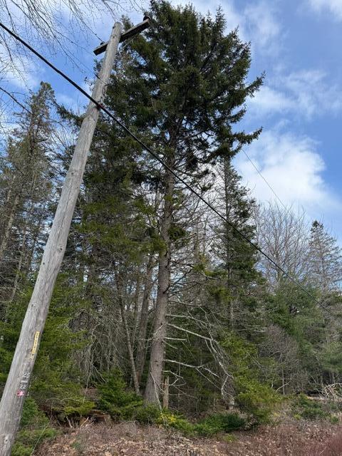 0 North Range Road North Blue Hill, ME 04614 - Photo 12 of 17 IMG_3275