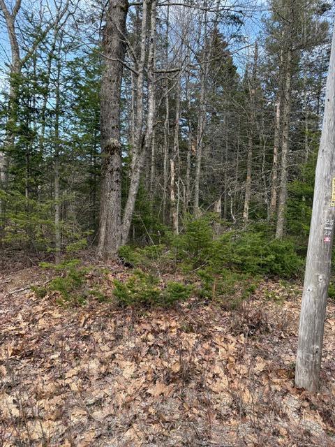 0 North Range Road North Blue Hill, ME 04614 - Photo 13 of 17 IMG_3276
