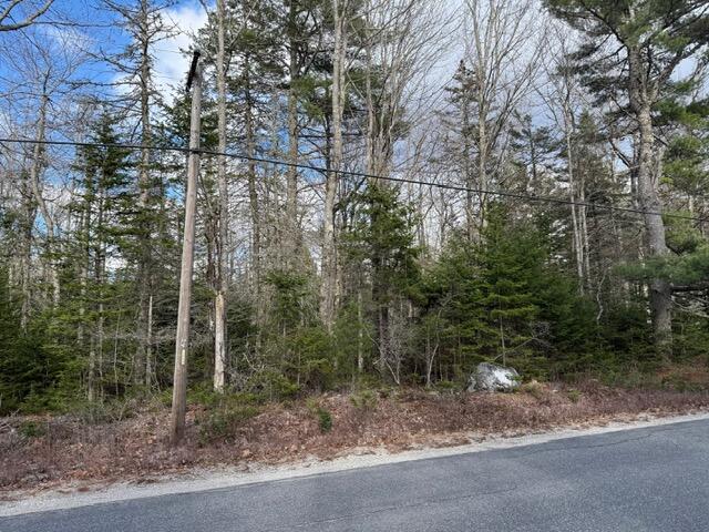 0 North Range Road North Blue Hill, ME 04614 - Photo 3 of 17 IMG_3263