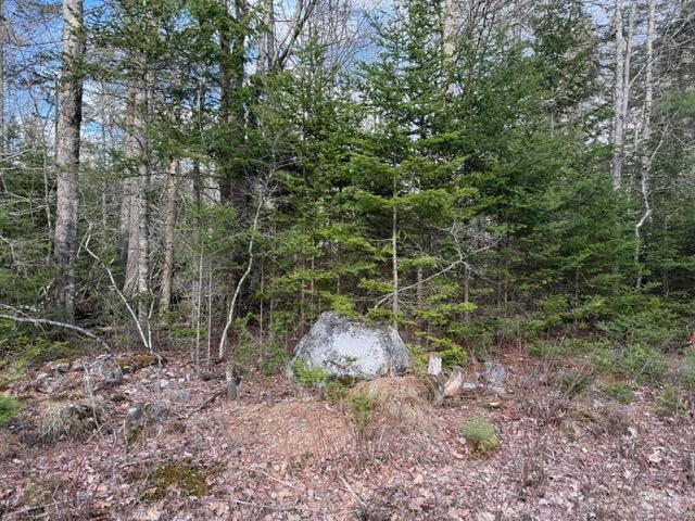 0 North Range Road North Blue Hill, ME 04614 - Photo 4 of 17 IMG_3264