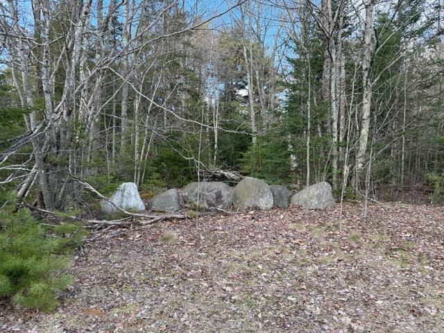0 North Range Road North Blue Hill, ME 04614 - Photo 6 of 17 IMG_3266