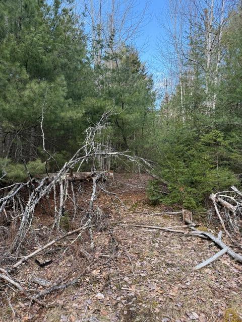0 North Range Road North Blue Hill, ME 04614 - Photo 7 of 17 IMG_3270