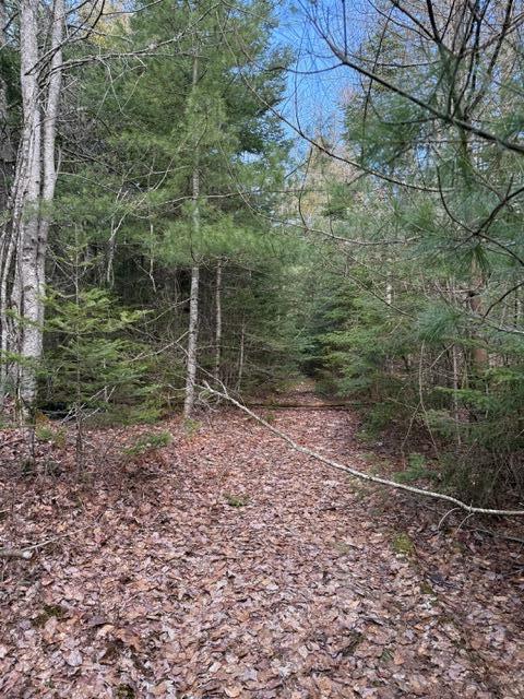 0 North Range Road North Blue Hill, ME 04614 - Photo 8 of 17 IMG_3271