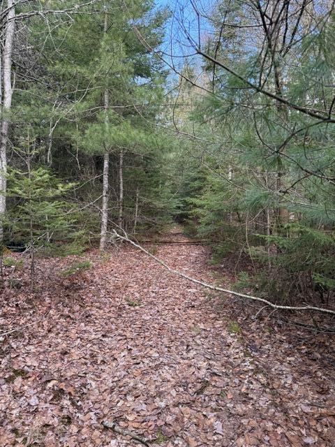 0 North Range Road North Blue Hill, ME 04614 - Photo 9 of 17 IMG_3272
