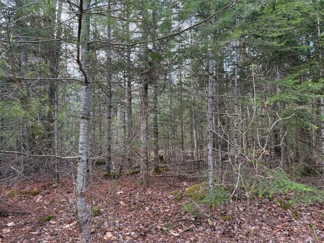 0 North Range Road North Blue Hill, ME 04614 - Photo 10 of 17 IMG_3273