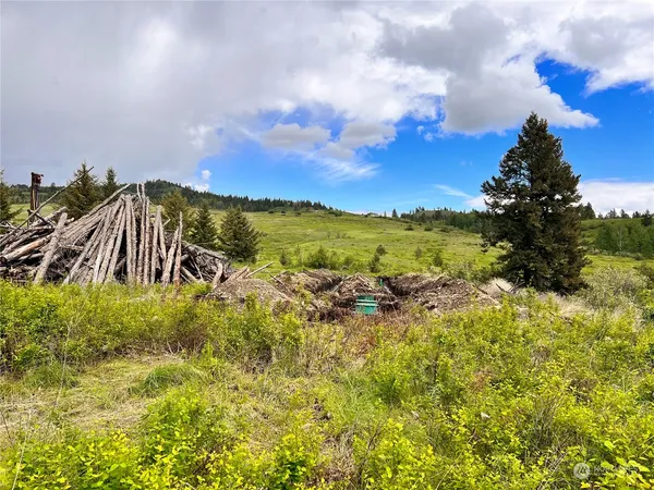 $109,900 | 293 Big Goosmus Creek Road, Curlew, WA 99118