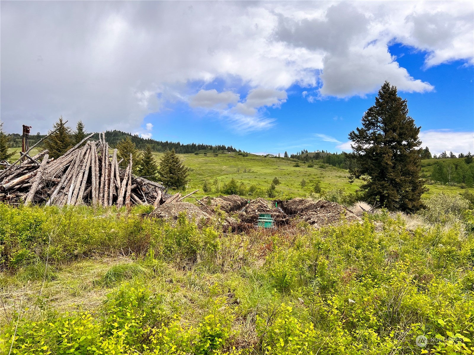 293 Big Goosmus Creek Road Curlew, WA 99118 - Photo 12 of 13 a view of a lake with a yard