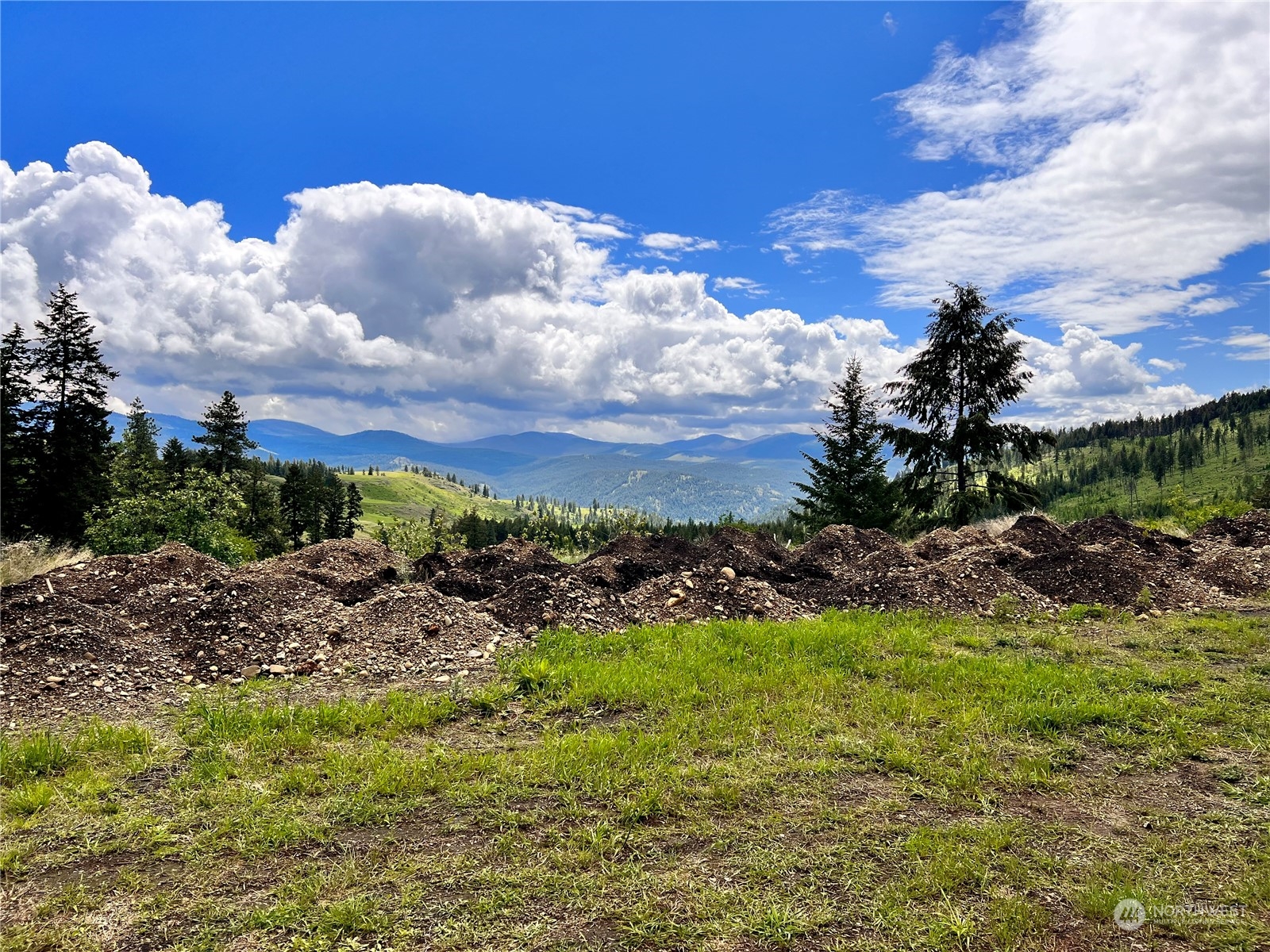 293 Big Goosmus Creek Road Curlew, WA 99118 - Photo 3 of 13 a view of a garden with an ocean