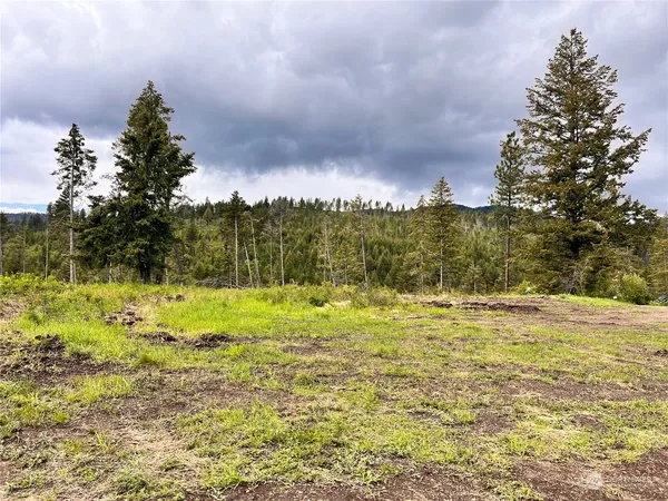 a view of a yard with an trees