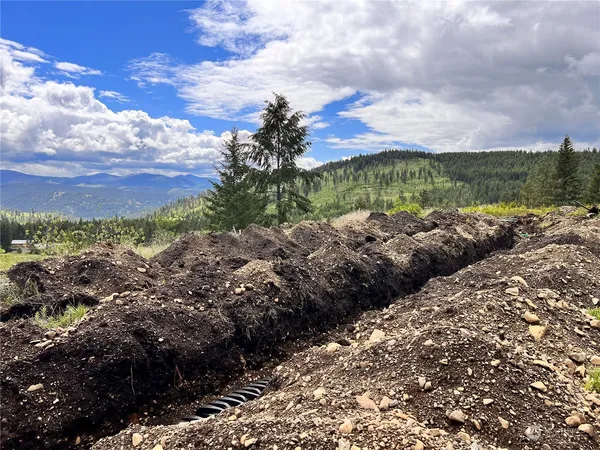 a view of a bunch of trees and houses