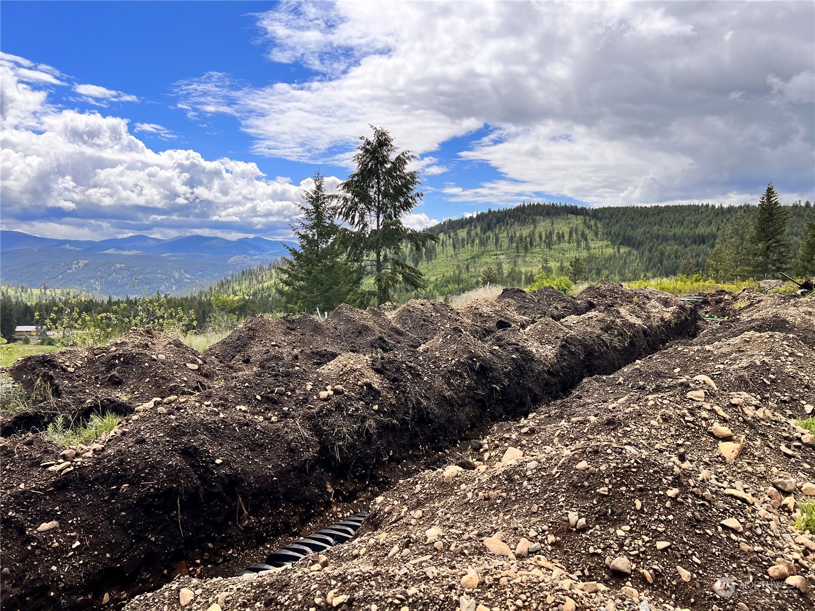 293 Big Goosmus Creek Road Curlew, WA 99118 - Photo 7 of 13 a view of a bunch of trees and houses