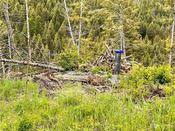 a backyard of a house with lots of green space and plants