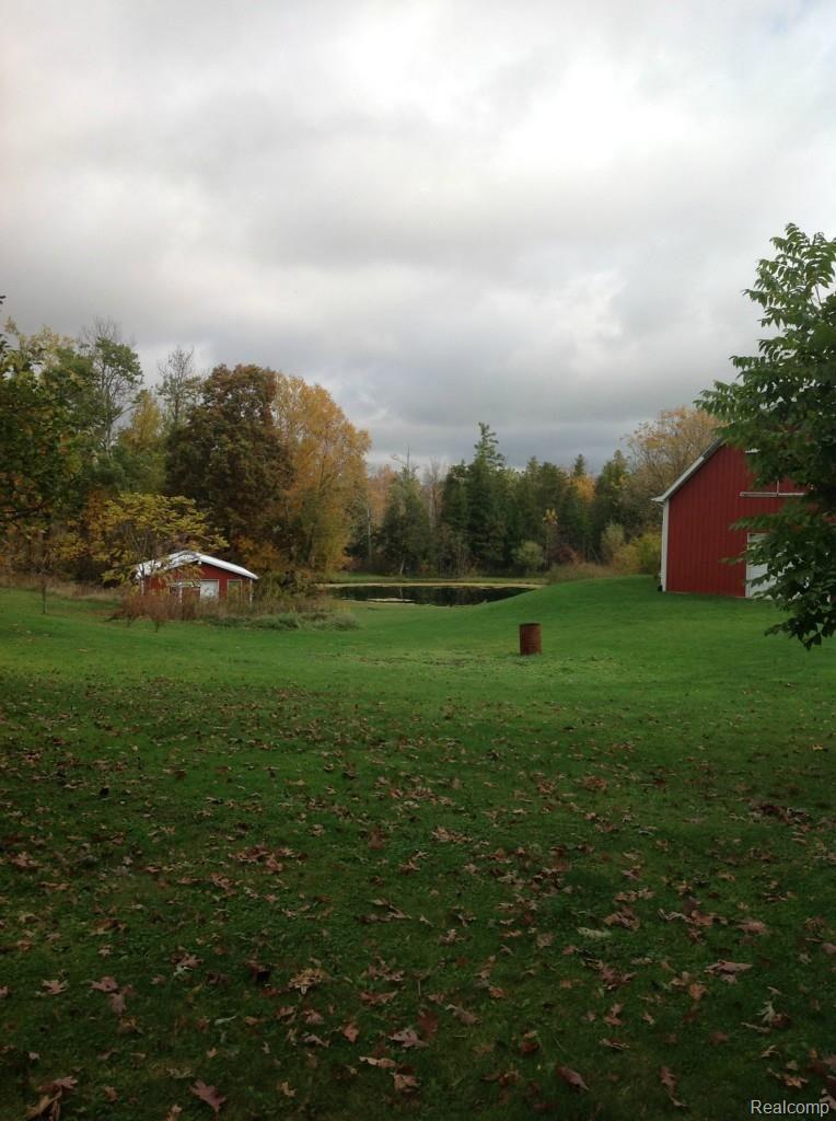 6147 Willis Road North Branch, MI 48461 - Photo 25 of 41 View of stocked Pond and 2 Outbuildings