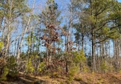 --- Steadman Road, Unit 32 Tallapoosa, GA 30176 - Photo 1 of 1 Gallery Image 1