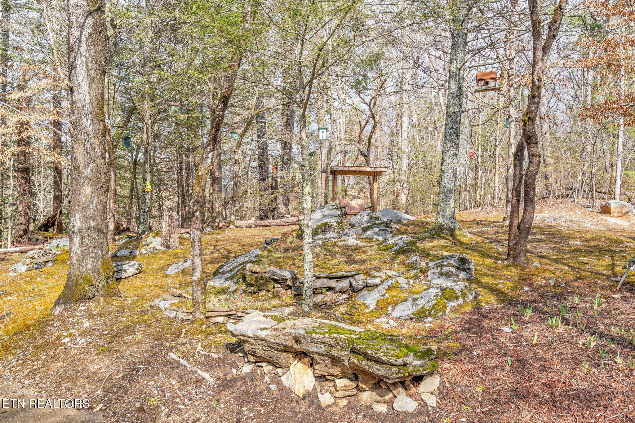 151 Sequoyah Village Road Townsend, TN 37882 - Photo 7 of 60