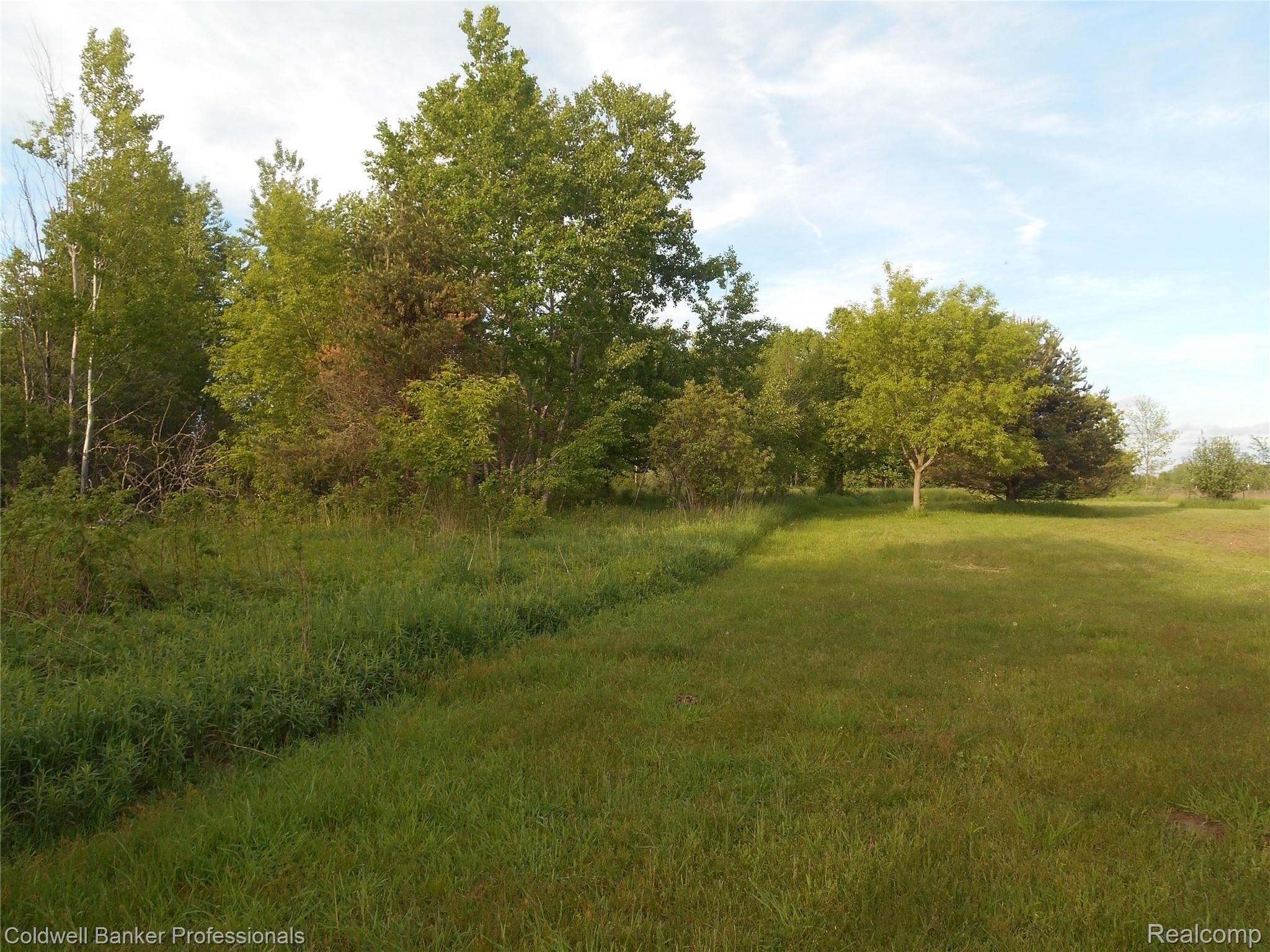 8844 Rich Road Mayville, MI 48744 - Photo 29 of 37 DSCN0573.JPG