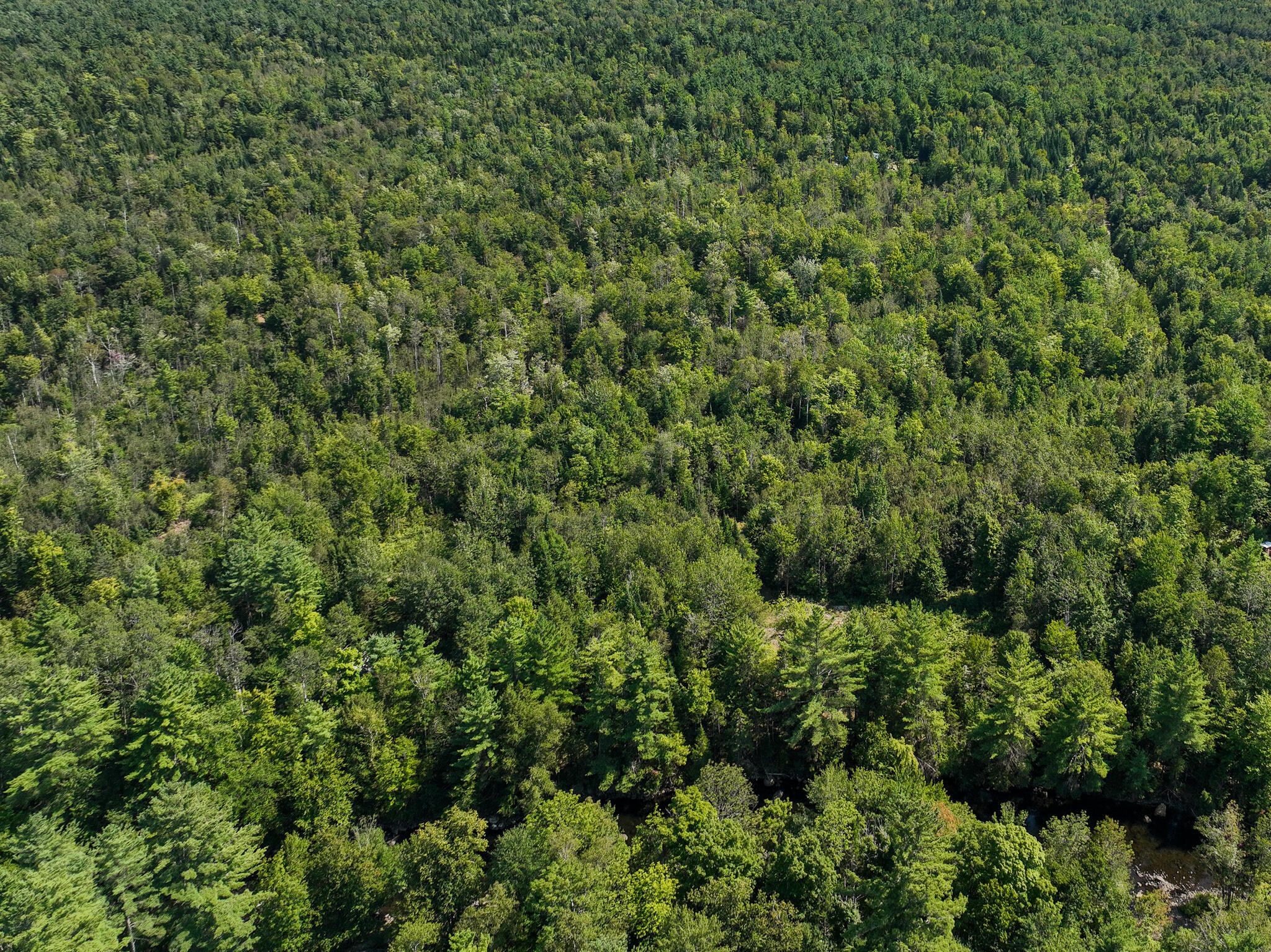 Lot R537 River Bend Carthage, ME 04224 - Photo 20 of 21 DJI_0317