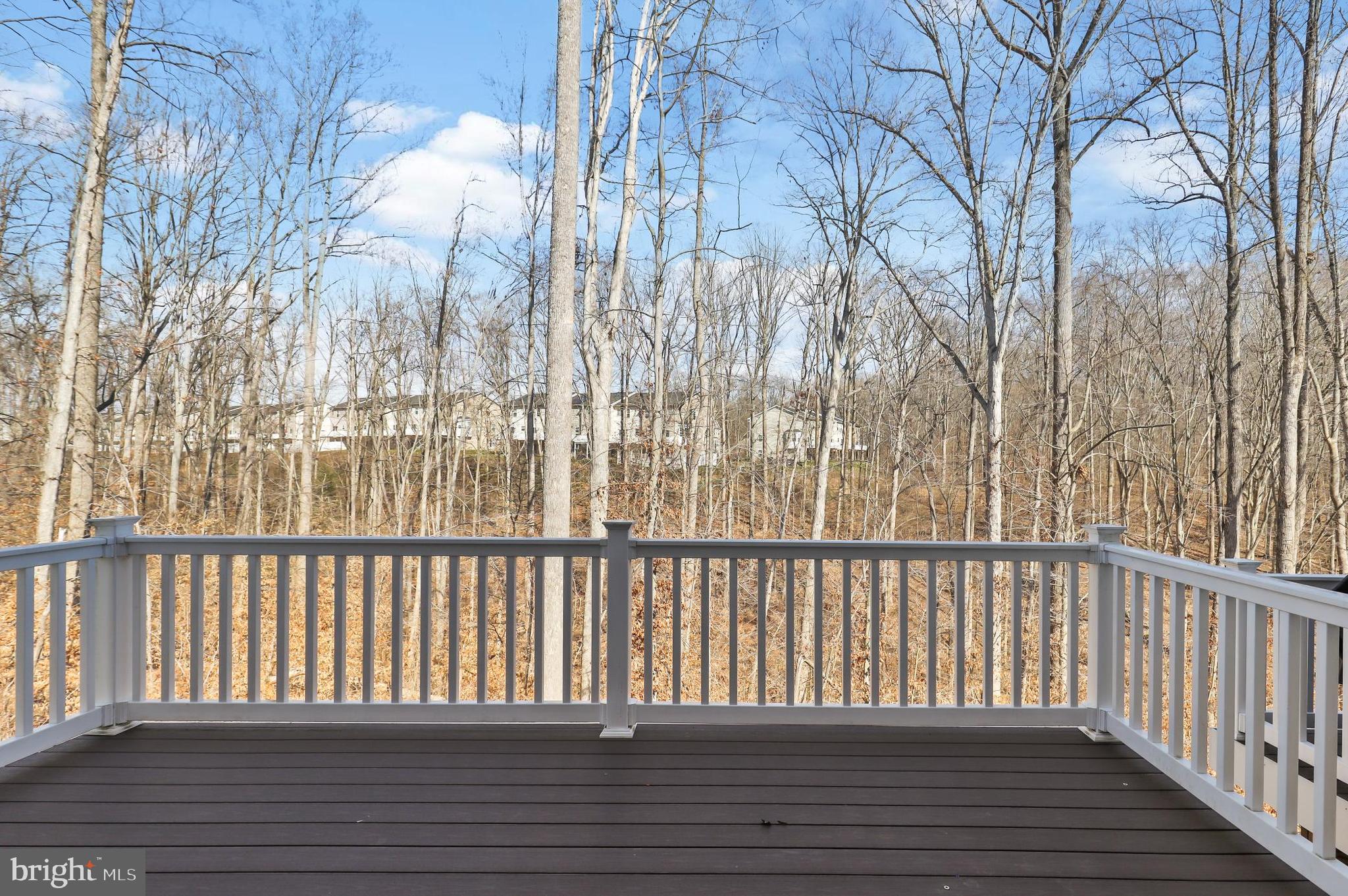 401 Rising Sun Road Fredericksburg, VA 22405 - Photo 21 of 22