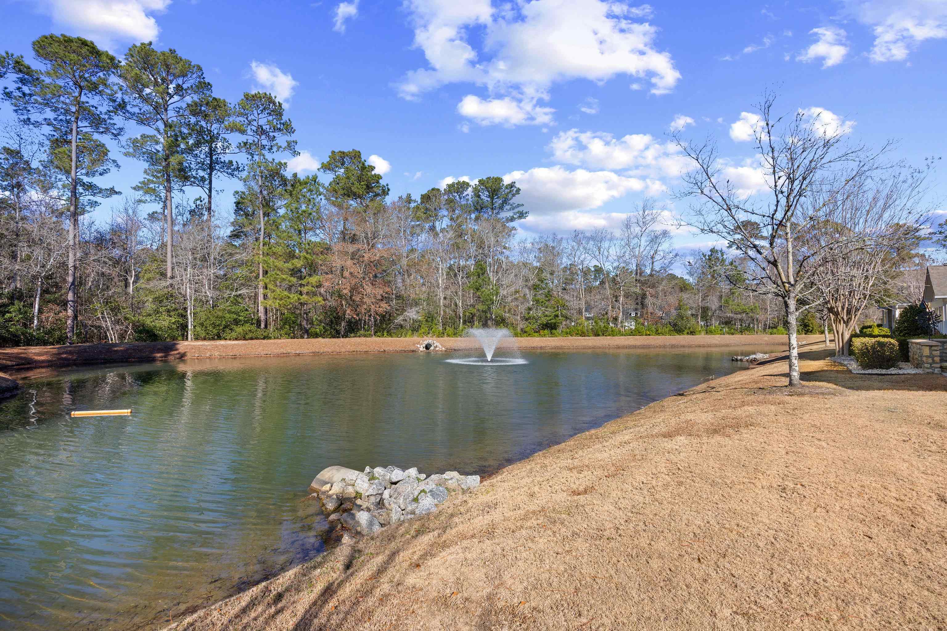 340 Arlington Circle, Unit 340 Murrells Inlet, SC 29576 - Photo 31 of 39