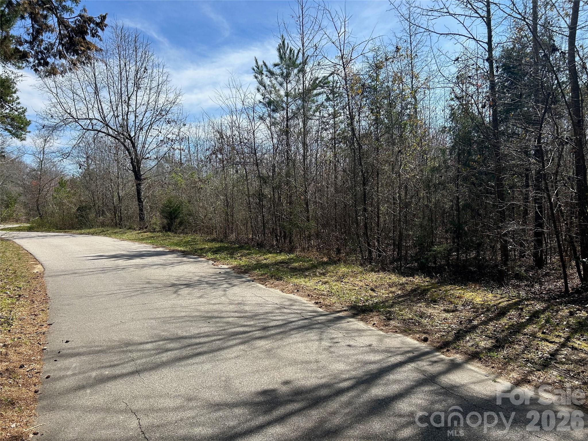 Tbd Green Pond Road Indian Land, SC 29707 - Photo 21 of 24