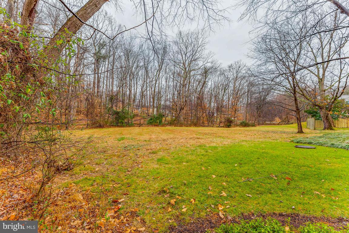 9226 Rockefeller Lane Springfield, VA 22153 - Photo 41 of 58