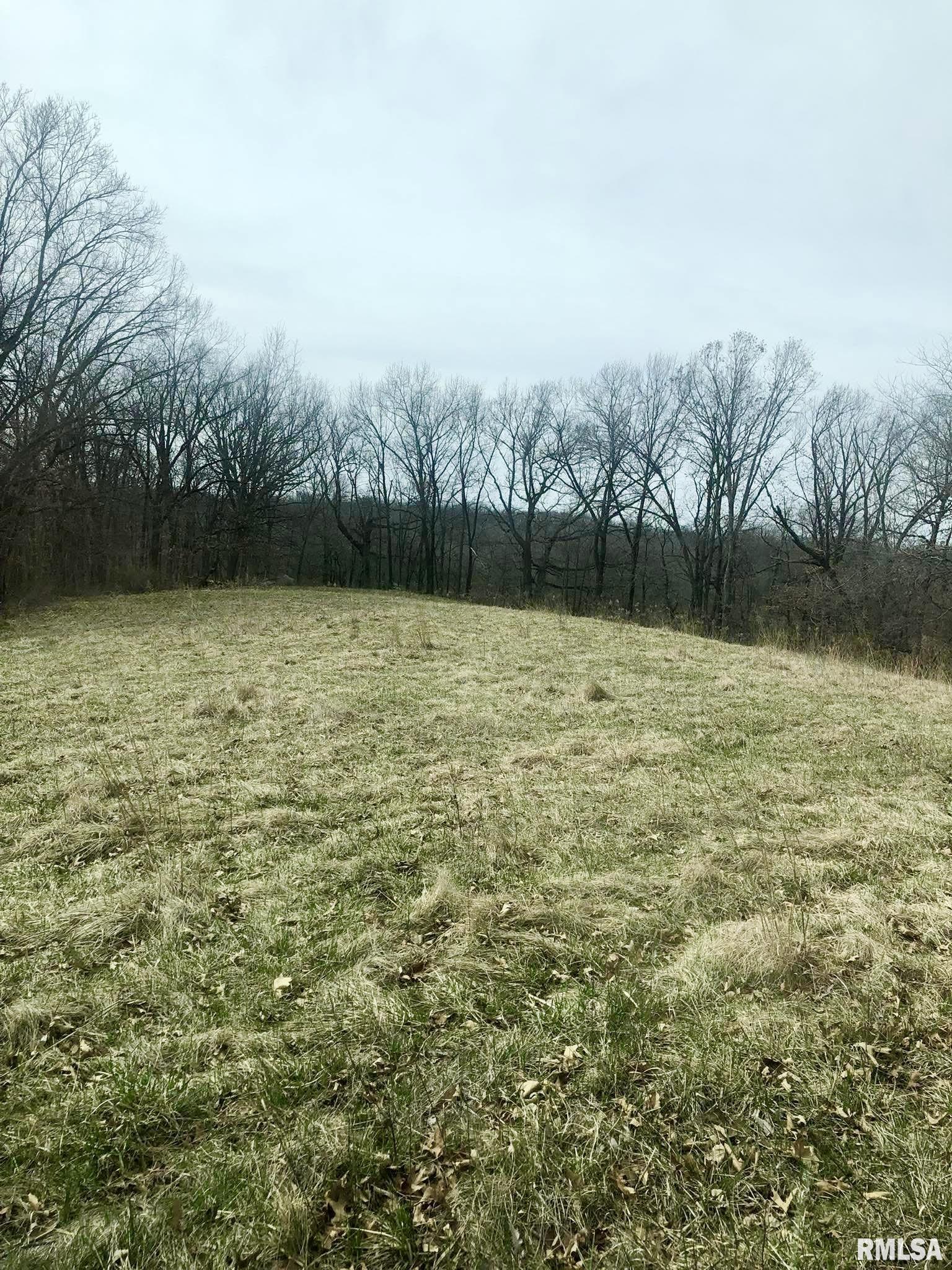 0 County Road East Mount Sterling, IL 62353 - Photo 10 of 10 Gallery Image 10