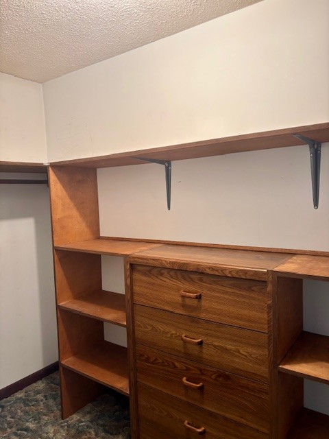 2258 South Williams Road Greenbrier, TN 37073 - Photo 22 of 23 a view of room with closet