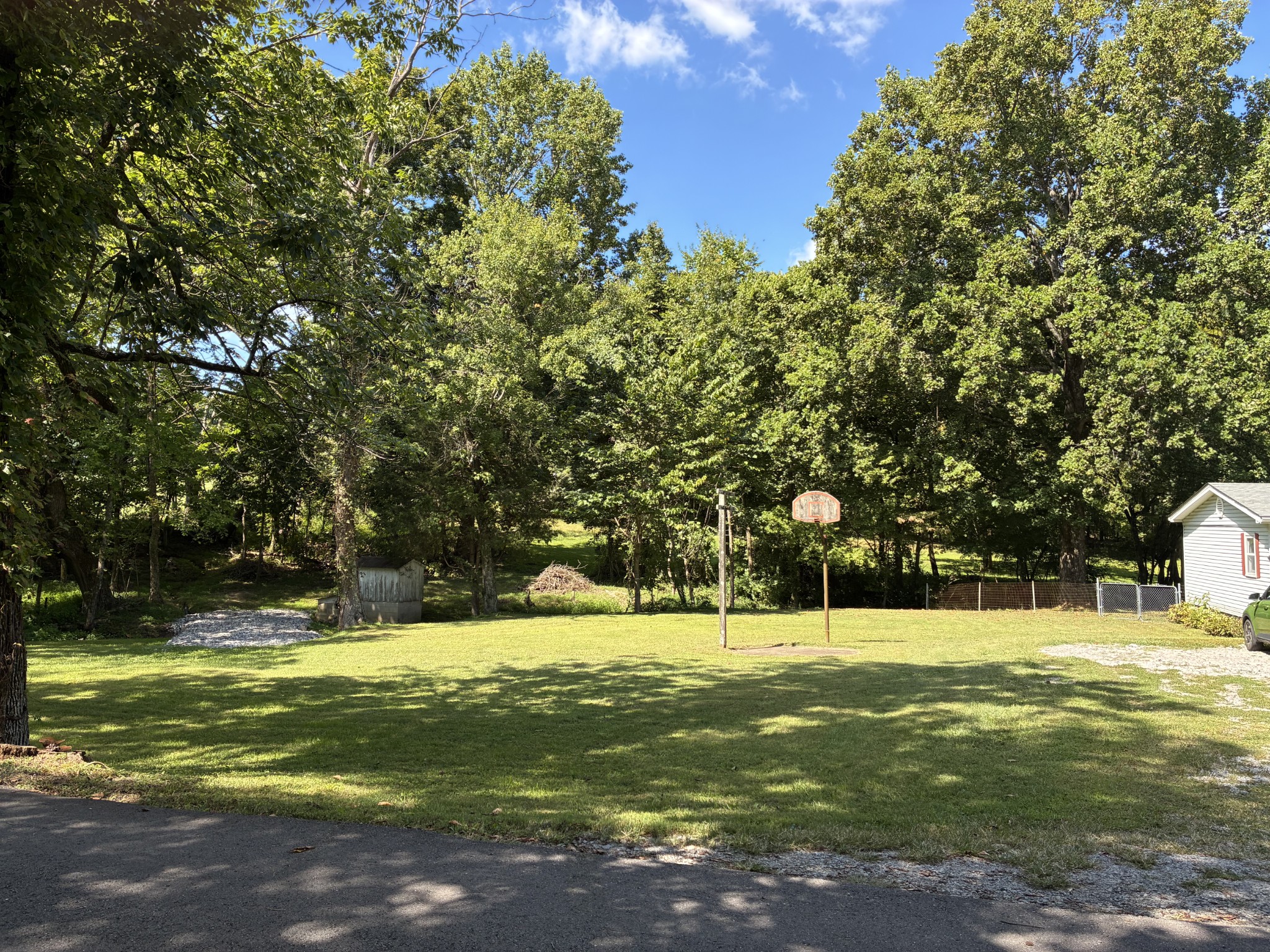 2258 South Williams Road Greenbrier, TN 37073 - Photo 5 of 23 a view of yard with swimming pool and trees