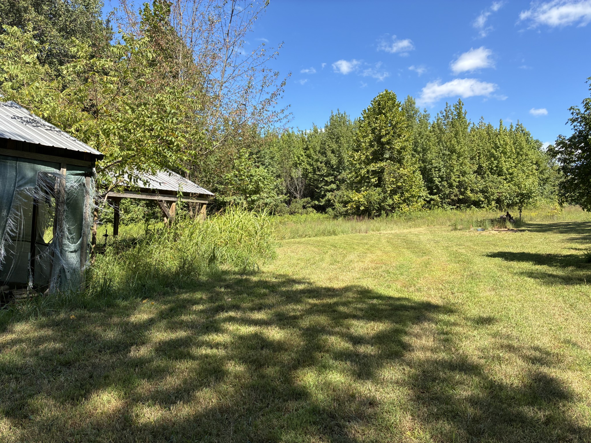 2258 South Williams Road Greenbrier, TN 37073 - Photo 9 of 23 a view of a yard with an outdoor space