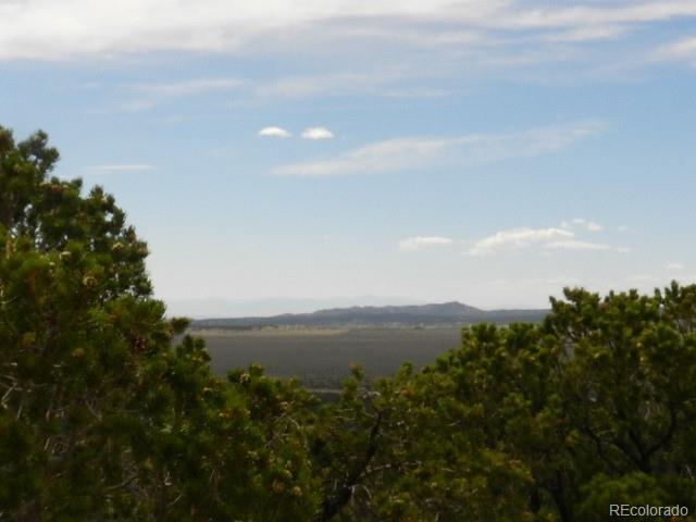 4396 Melcarth Road Fort Garland, CO 81133 - Photo 8 of 8 Gallery Image 8