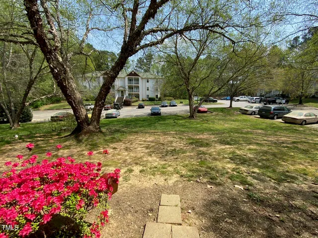 a view of yard with tree and green space