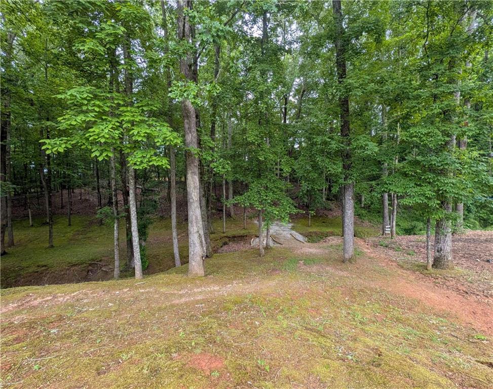 187 Cedar Ridge Road Locust Grove, GA 30248 - Photo 38 of 47 Gallery Image 38