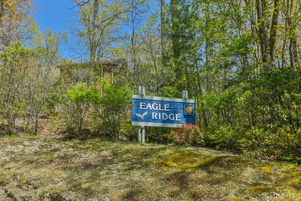 118 Eagle Ridge Road Sapphire, NC 28774 - Photo 44 of 44 Gallery Image 44