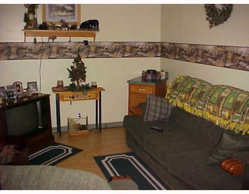 129 Water Works Road Garrett, PA 15542 - Photo 5 of 10 Living Room.