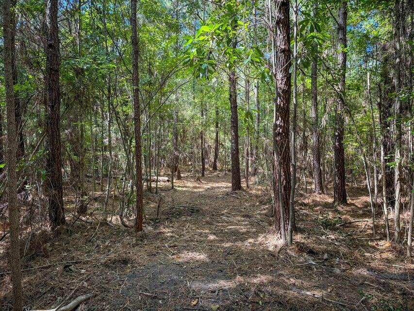 2-3 Hard Pinch Road Moncks Corner, SC 29461 - Photo 7 of 17 20241214190340801827000000-o