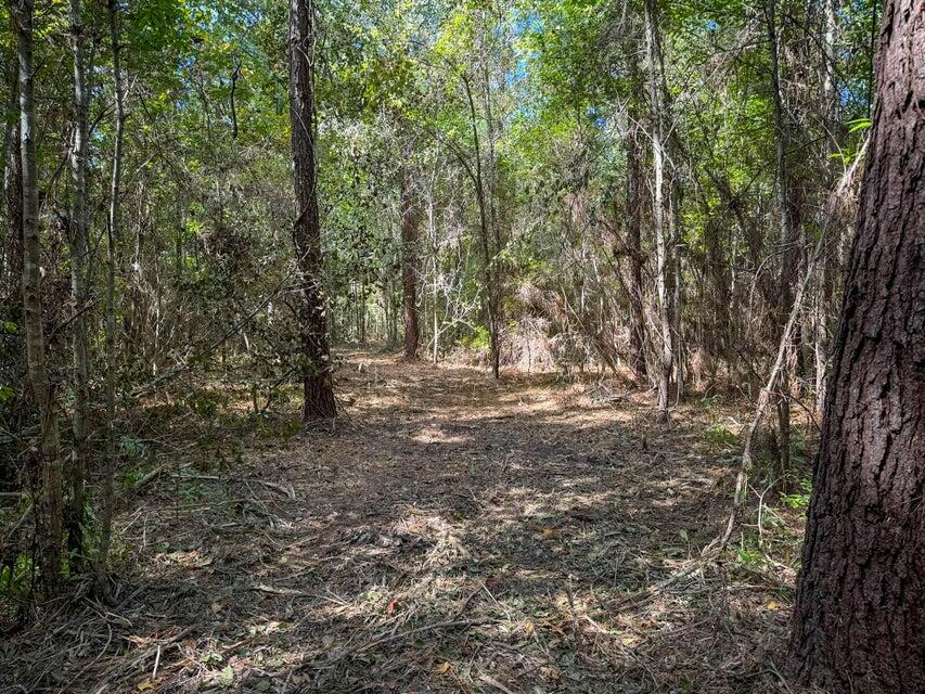 2-3 Hard Pinch Road Moncks Corner, SC 29461 - Photo 9 of 17 20241214190339569145000000-o