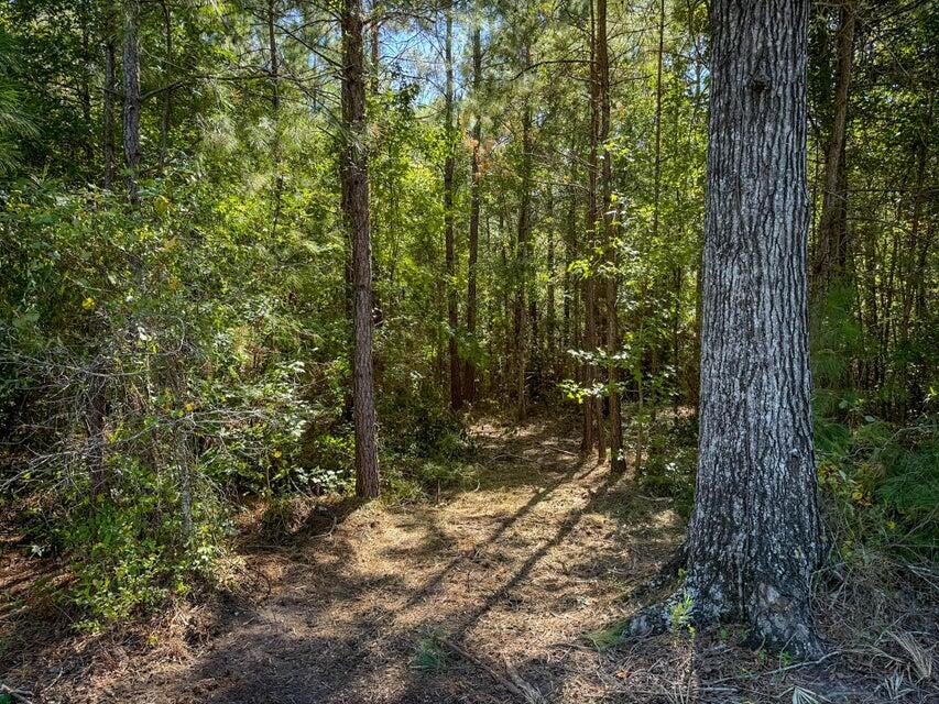 2-3 Hard Pinch Road Moncks Corner, SC 29461 - Photo 10 of 17 20241214190338487228000000-o