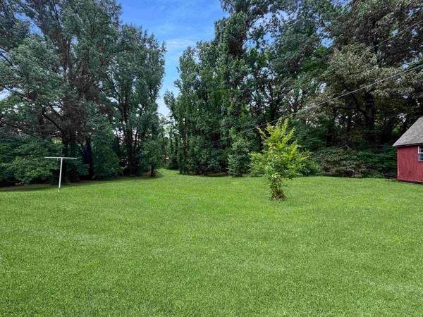 a view of a grassy field with trees