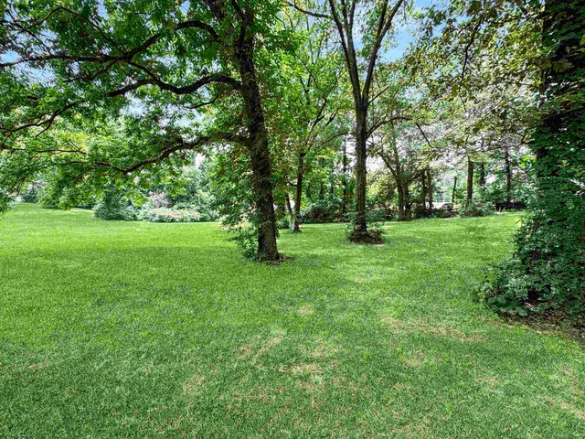 a view of a grassy field with trees