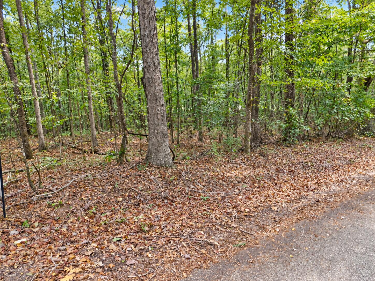 Scott Senter Road Fulton, MS 38843 - Photo 5 of 7 Gallery Image 5